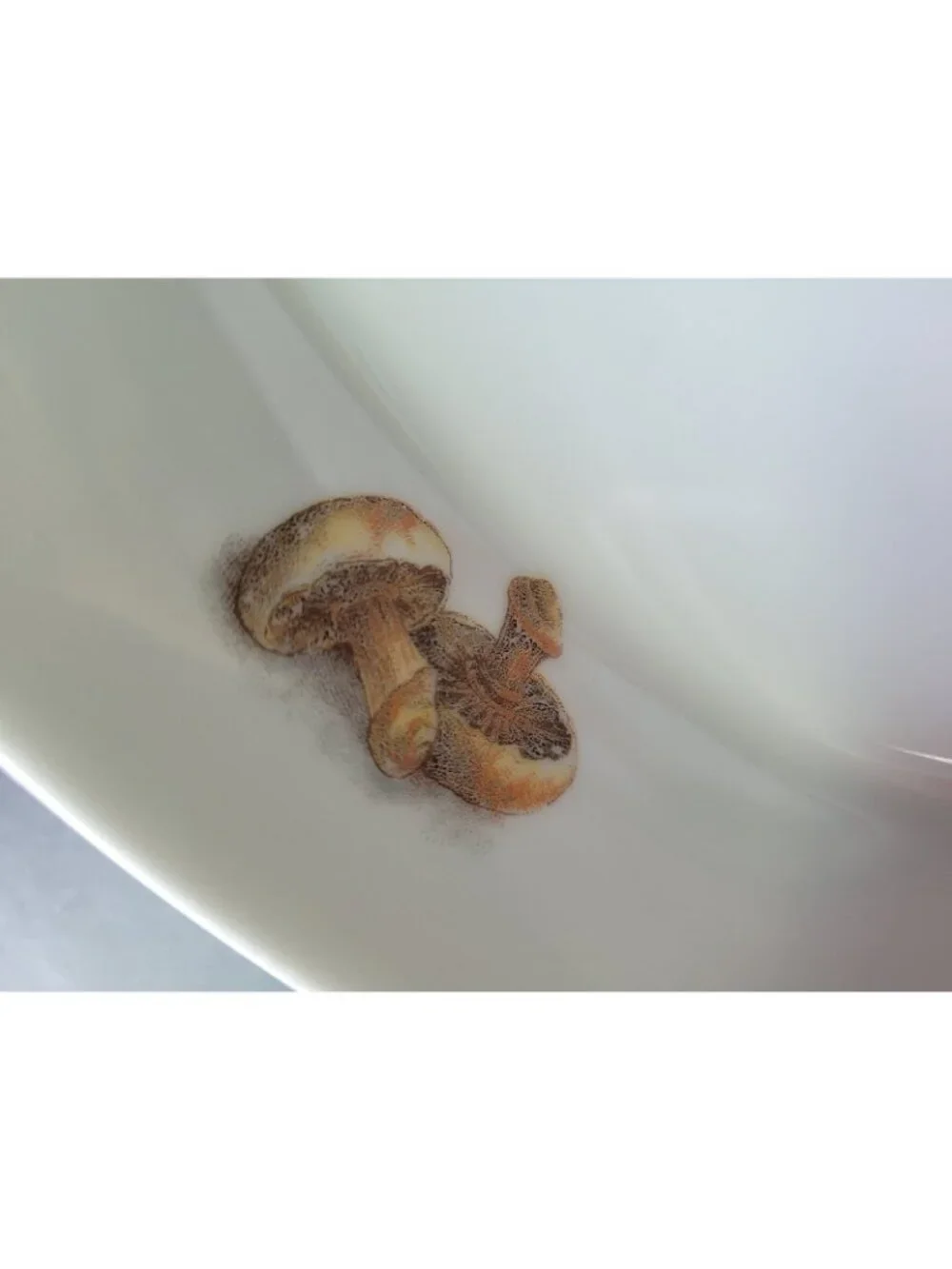 France Oval Eared Au Gratin Baking‎ Dish 13